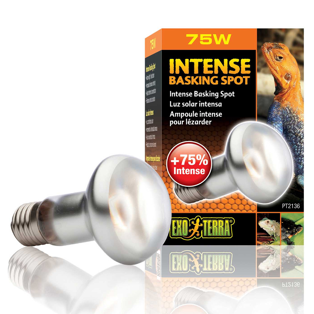 Exo Terra Intense Basking Spot 75W 63mm Żarówka Grzewcza do Terrarium